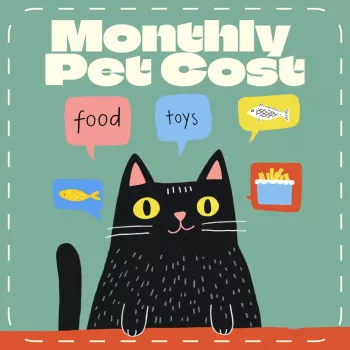Monthly Pet Costs: Typical Budgets for Dogs, Cats & More